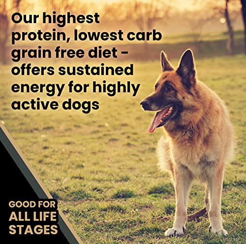 Image of VICTOR Grain Free Ultra Pro Dry Dog Food - High Protein Dry Kibble, 5 lb