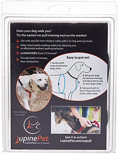 lupine no pull harness