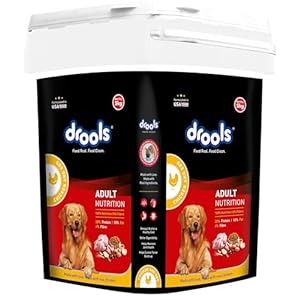 Drool Adult Dry Dog Food Chicken and Egg Inside Container 5kg Pack