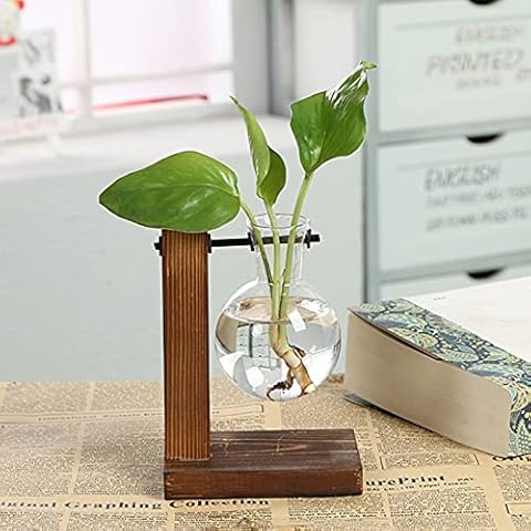CHENLING Bonsai Decor flower vase Plant Transparent Vase Wooden Frame vase decoratio Glass Tabletop Plant flower shaped bowl Cover