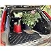 IKC STORE For Kia Picanto 2017 2018 2019 2020 2021 2022 2023 All Protection Cargo Liner Trunk Mat Fresh Design Heavy Duty Trimmable Trunk Liner, Black