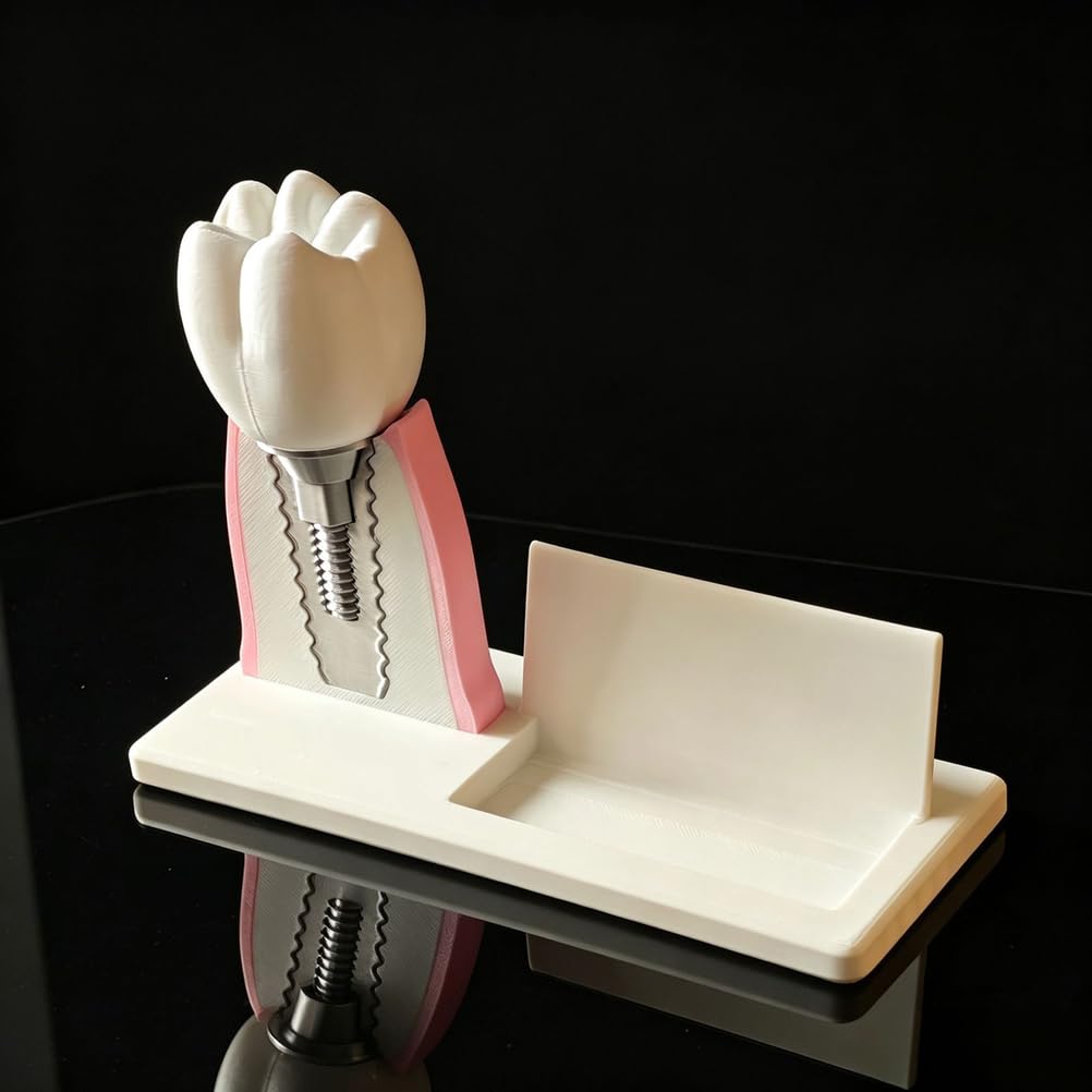 Soporte para Tarjetas de presentación Dental de Resina, Modelo Dental y Modelo de implante Dental, Soporte para Tarjetas de presentación, Adorno de Modelo de conducto radicular