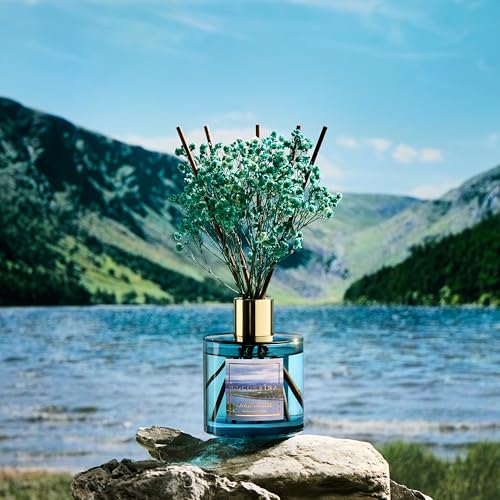 Image of COCORRINA Reed Diffuser - Lake Tahoe 6.7 Fl.oz Reed Diffuser Set with 8 Sticks & Preserved Baby's Breath, Reed Diffuser for Home Bathroom Shelf Decor