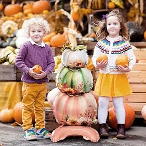 Fall Thanksgiving Party Supplies Autumn Harvest Themes Pumpkin Balloons Set for Thanksgiving Party Decorations