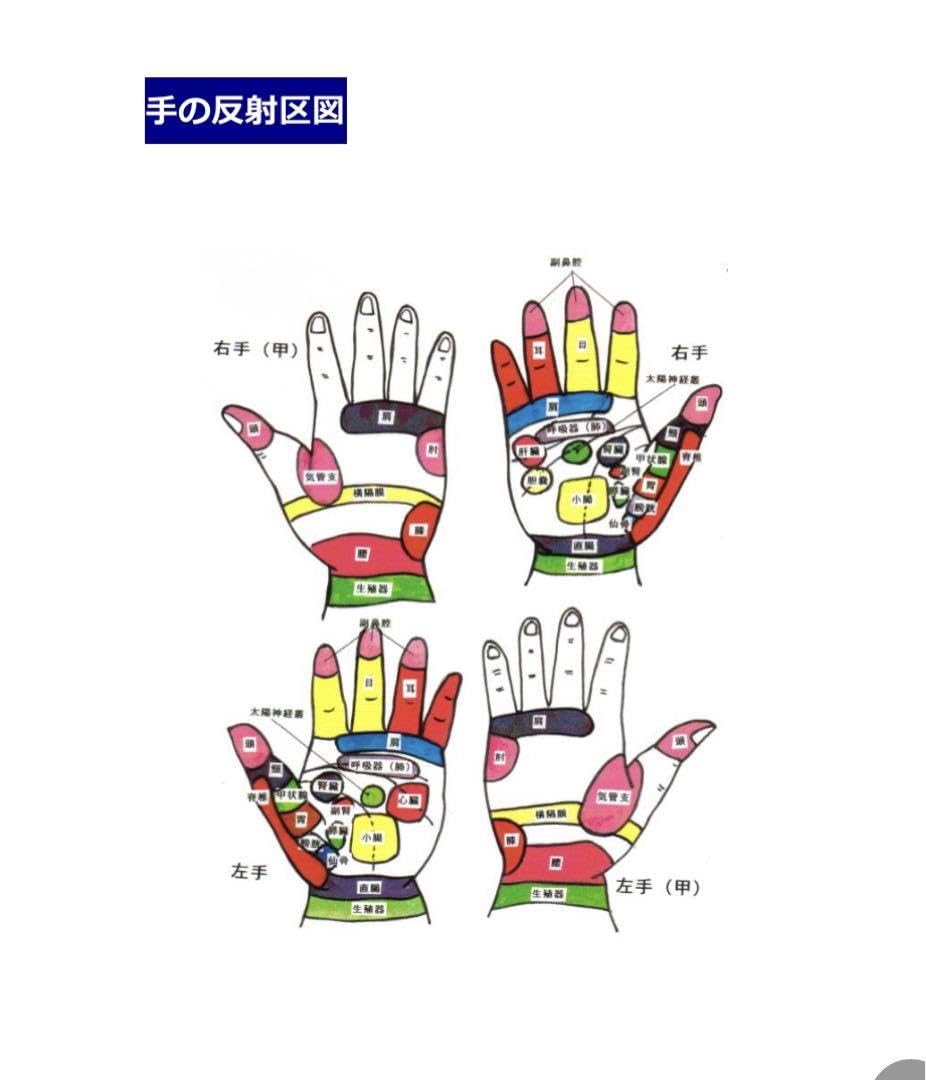 Amazon.co.jp: お名前入りディプロマ②手掌経絡療法師（バンド