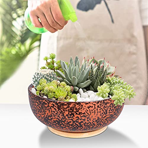 Fivepot 10 Inch Large Terracotta Succulent Planter Garden Plant Bowl Deep Flower Pot Indoor And Outdoor Decor Drainage Bamboo Tray #TOP3