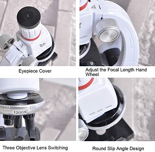 HONPHIER Kids Microscope 100x 400x 1200x Microscope for Children Microscopes Set Microscope Kit Kids Toys Science with Adjustable Phone Holder