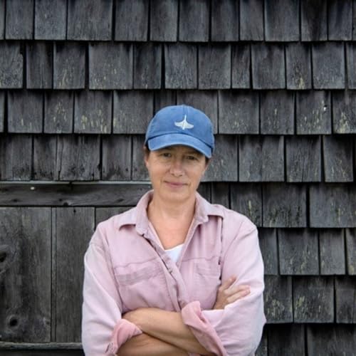 Couverture de Letters from an American