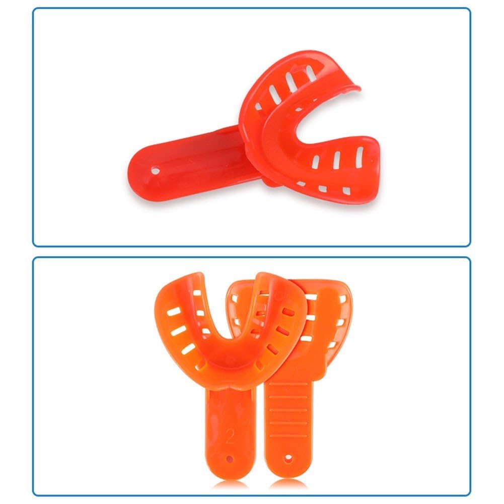 Plateau D' Dentaire pour Adultes Enfants, Porte-Dents, Fourniture Centrale Dentaire, Outils Buccaux, Équipement De Laboratoire, 12 Pièces