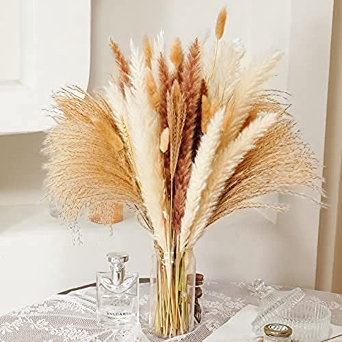 Bassulouda Pampas Pampas Secas Pampas Pampas Natural de Coelho Marrom e para DecoraçãO BoêMia
