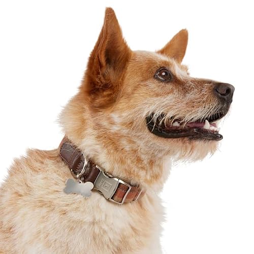 Reddy Stripe Dog Collar, Tan, Medium