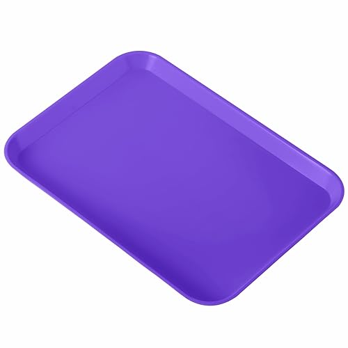 JMU Bandejas para Procedimientos Dentales Autoclavables Juego de Bandejas Planas Tamaño B 13.25" X 9.75", Bandejas de Plástico para Instrumentos
