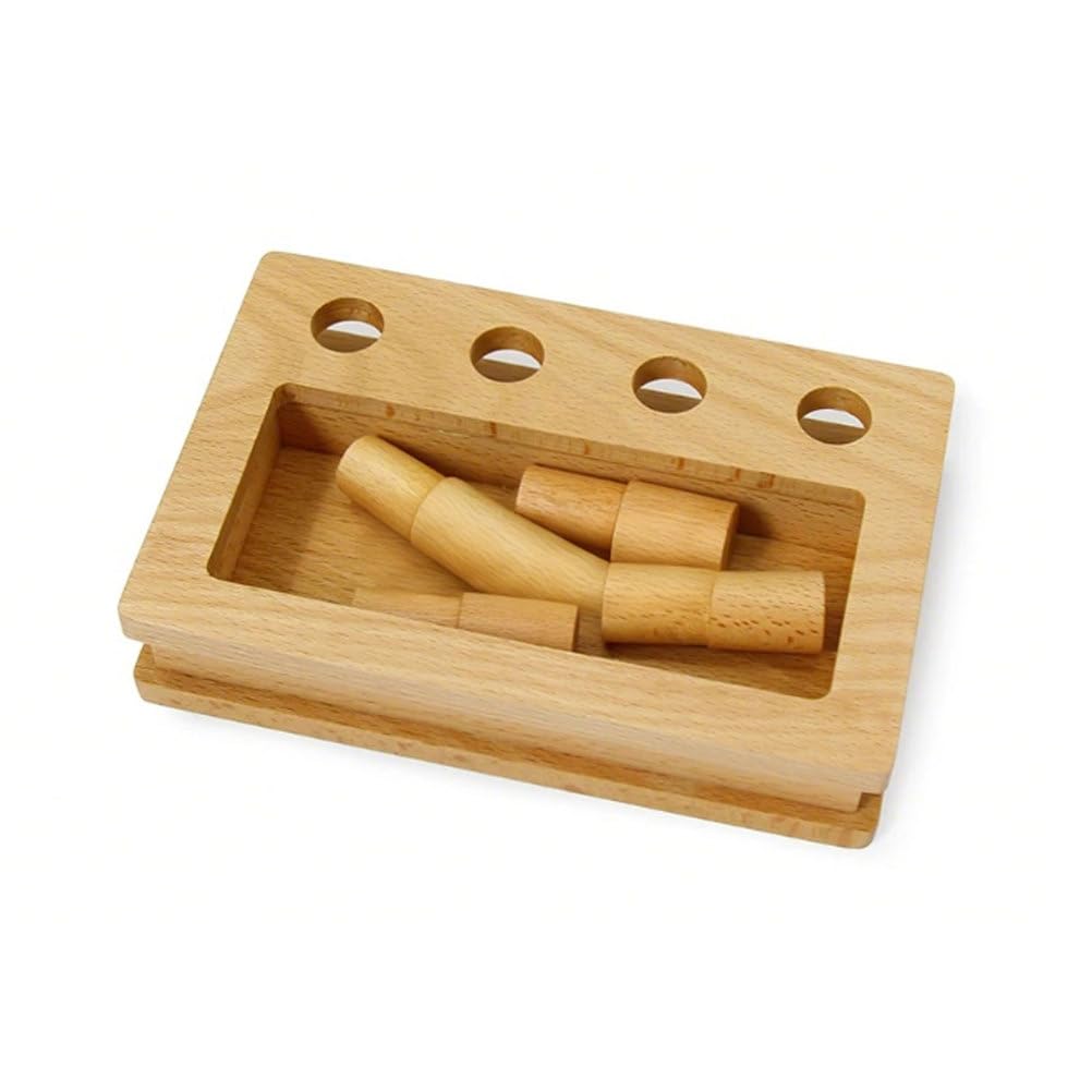 Montessori Brett- und Box-Einsetzspiel, Feinmotorik- und Hand-Auge-Koordination Spielzeug für Kleinkinder ab 12 Monaten