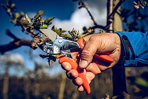Löwe Gartenschere 2.104 – Profi Amboss Gartenschere für präzise Schnitte