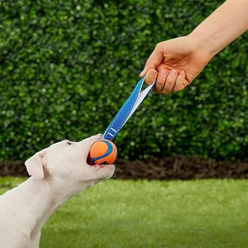 Chuckit! - Ultra TUG Gr. S - Set - 2 x 5 cm