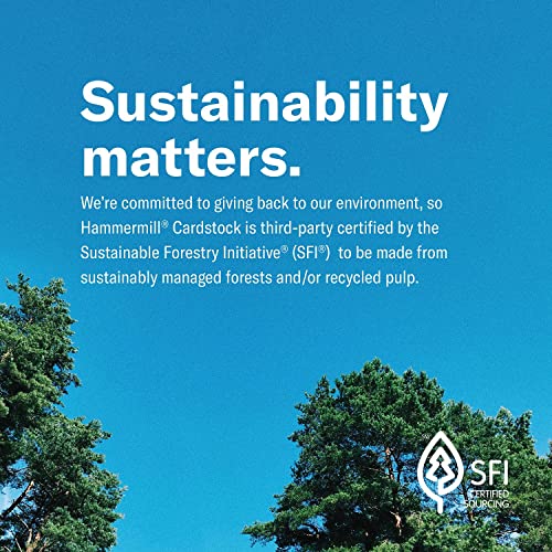 hammermill colored paper 20 lb blue printer paper 85 x 11-1 ream 500 sheets - made in the usa pastel paper 103309r