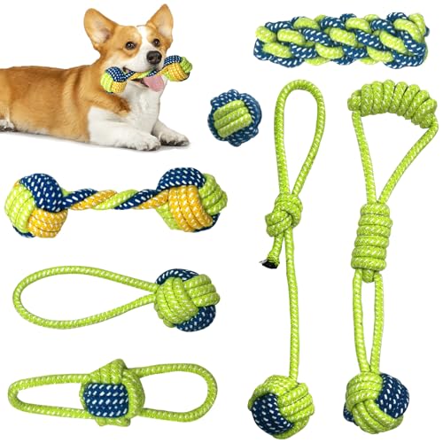 CANPLUS 7�p�b�N �� �������� �l�C ���� ���[�v �R �{�[�� �Ђ��ς���� �ߋ� �ΐ��F ��v �V�R�R�b�g�� �X�g���X���� �^���s������ ��l�V�� ���ϋv ���� ������ �y�b�g�p�i ���^�� ���^�� ��^���c (�O���[��)