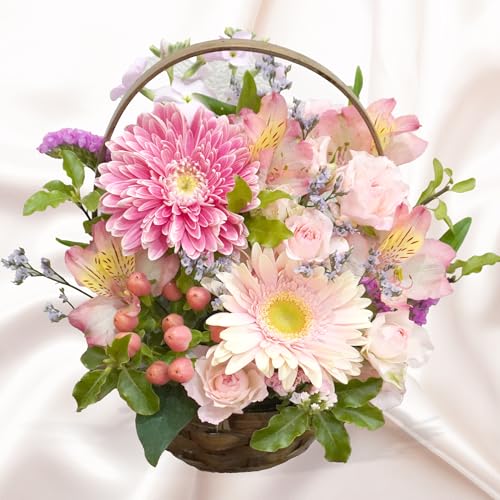 / AWg  MTCYyIׂJ[z ؂ AW  Mtg v[g a LO j v[g t[AWg sN