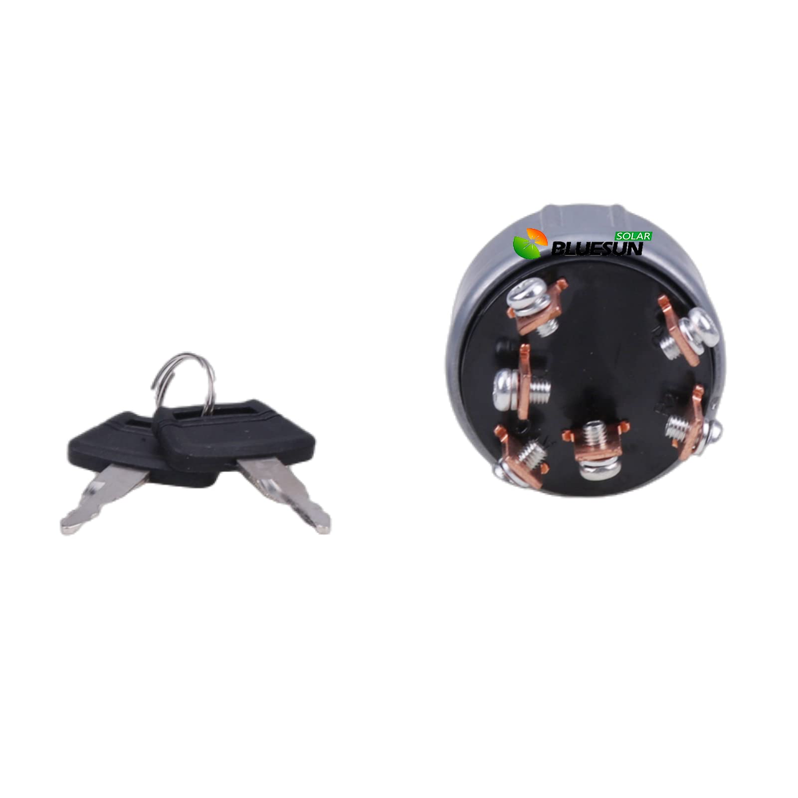 Amazon.com: BLUESUNSOLAR Ignition Switch with 2 Keys