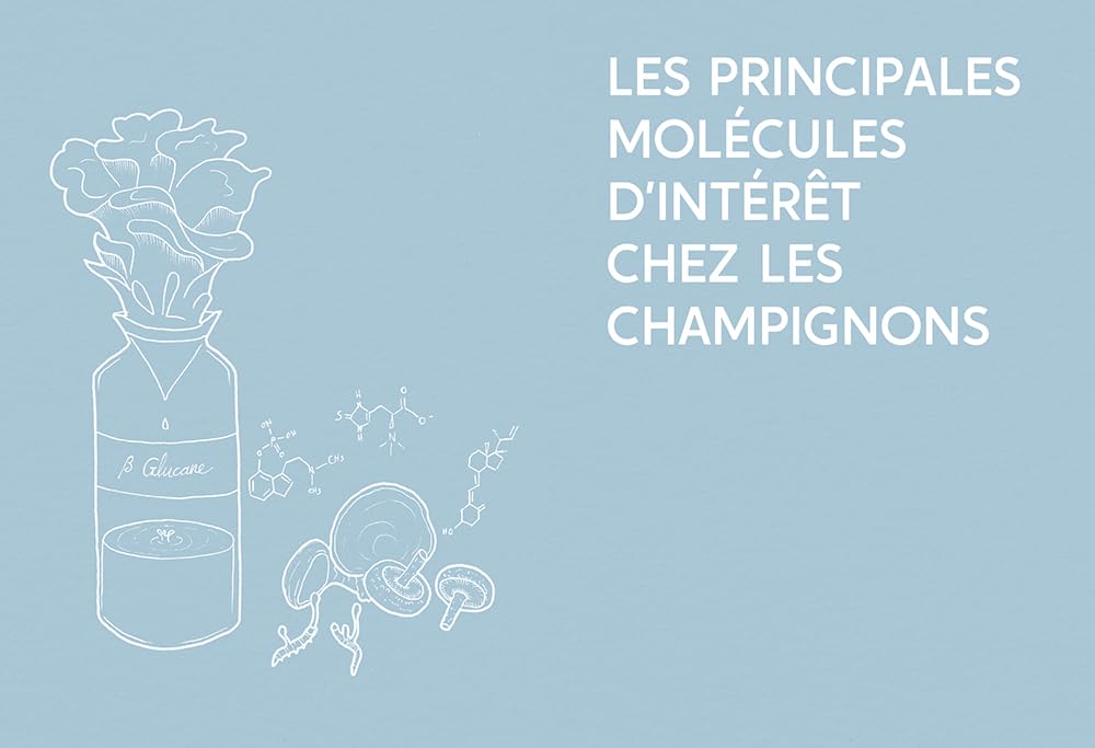 Guide des champignons médicinaux - 30 champignons incontournables - Les bienfaits pour la santé et le bien-être