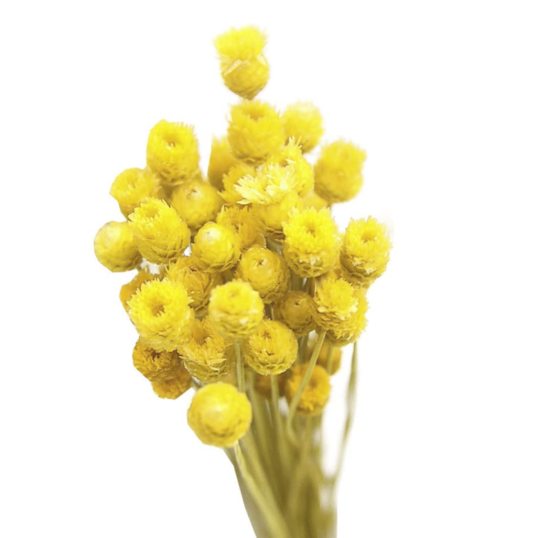 Bouquet de marguerite domestique, 1 pièce, décoration de Table de camomille pour mariage d