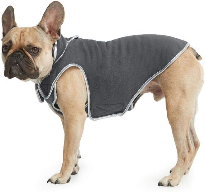 comfortis flea control