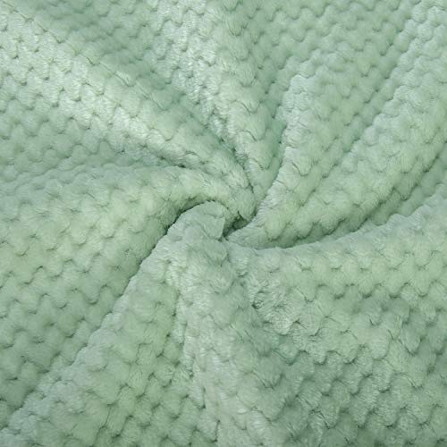 Image of Warm Soft Fuzzy Dog or Cat Blanket, Plush Fleece Throws for Bed, Couch, Sofa, Travel (M /32 inch x 40 inch, Mint)