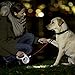 FLEXI LED Lighting System, One Size, Black