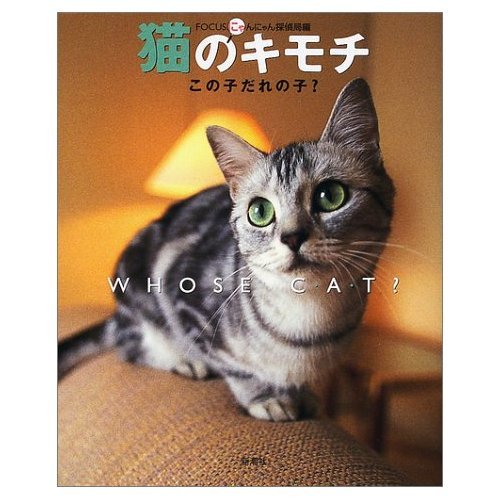 猫のキモチこの子だれの子
