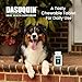 Nutramax Dasuquin for Small to Medium Dogs, Joint Health Supplement, Contains Glucosamine for Dogs, Plus Chondroitin, ASU and More, Supports Healthy Joints, Soft Chews, 84 Count