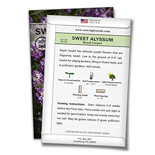 Sow Right Seeds - Royal Carpet Sweet Alyssum Flower Seeds For Planting- Non-Gmo Heirloom Packet With Instructions To Plant In Your Garden - Purple Tender Perennial - Groundcover With Tiny Blooms #TOP1
