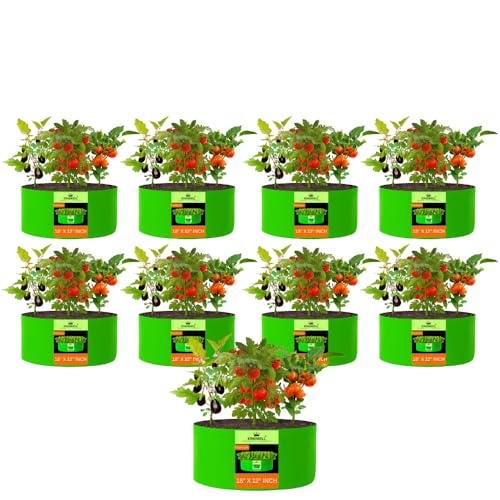 Image of Kingwell Grow Bag For Terrace Garden Leafy Vegetable Plant Grow Bags Fruits Growing Containers For terrece Gardening (18 X 12 INCH, PACK OF 9)