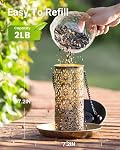 SWEETFULL Solar Bird Feeder pour les extérieurs Suspendre, Metal Wild Bird Feter pour Cardinals Solar Garden Lantern avec S Hook comme cadeau pour les amateurs d'oiseaux (2LBs Oiseaux lourds)