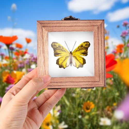 Image of Reallnaive 4 Pcs Insect Pinning Kit 4 inch Wooden Display Case Box, EVA Foam Insect Pinning Board, 100 Bug Pins for Butterfly Specimen Bugs Collection Tools (Carbonized Wood Color)