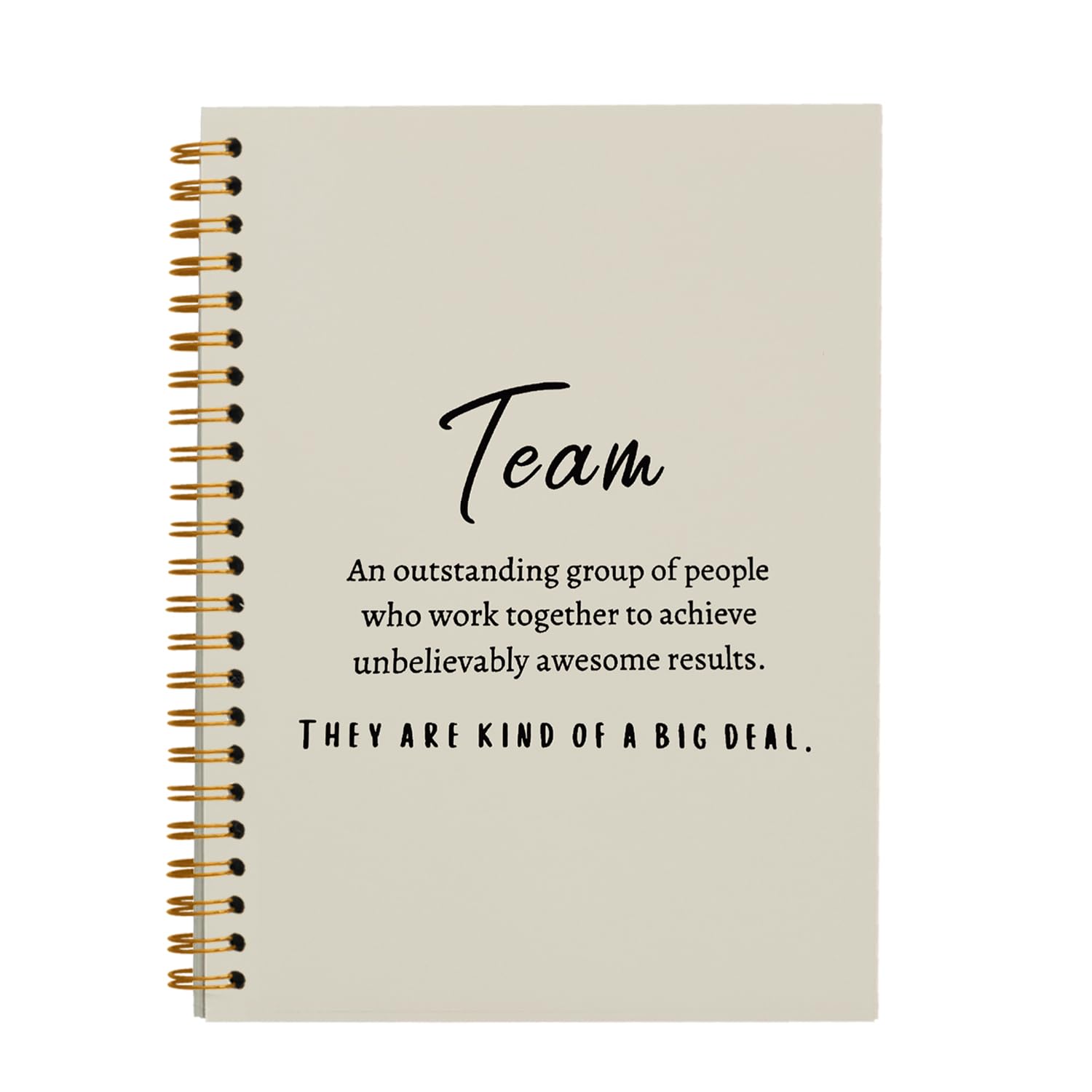 Cadeaux de reconnaissance d'équipe hold fizz carnet de notes beige - 5