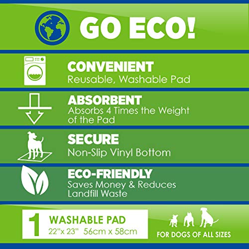 Image of Wee-Wee Premium Patch Washable Pad for Dogs, Count of 1, 1 CT