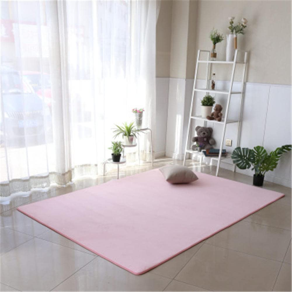 Tapis moderne grand salon antidérapant en velours corail rose shaggy
