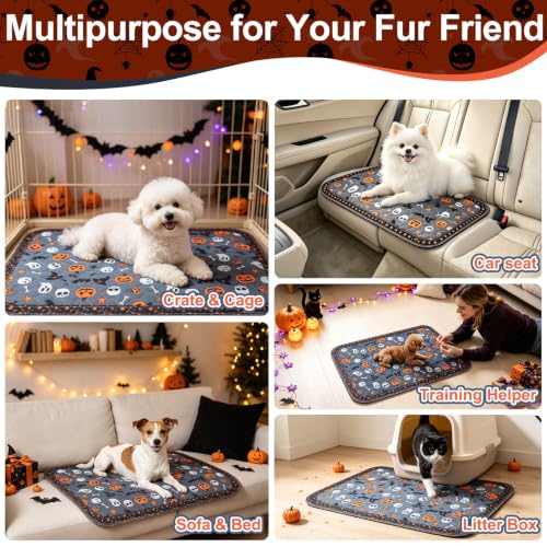 Image of BEAUTYZOO 2 Pack Washable Pee Pads for Dogs,Reusable Puppy Pad 24x36 Skull | Waterproof Super Absorbent,Non Slip and Leak-Proof Against Urine,Whelping Pads Mats for Puppy Potty Training,Playpen,Crate