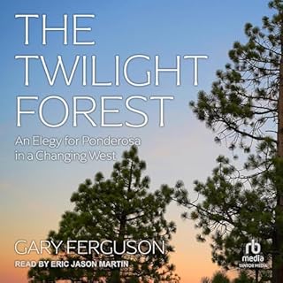 The Twilight Forest cover art
