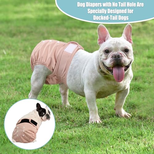 Image of wegreeco Frenchie Dog Diapers Female No Tail Hole, Washable Pet French Puppy Bulldog Diapers Female for Period Heat, Reusable Doggy Doggie Dog Diapers (X-Large)