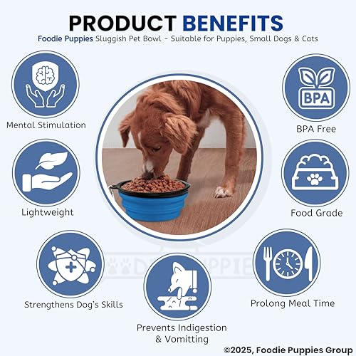 Image of Foodie Puppies Collapsible Slow Feeding Silicone Foldable Bowl for Small Dogs & Puppies - (Sluggish Bowl, 350ml) (Pack of 2), Pet Feeding Watering Dish for Walking, Traveling with Carabiners