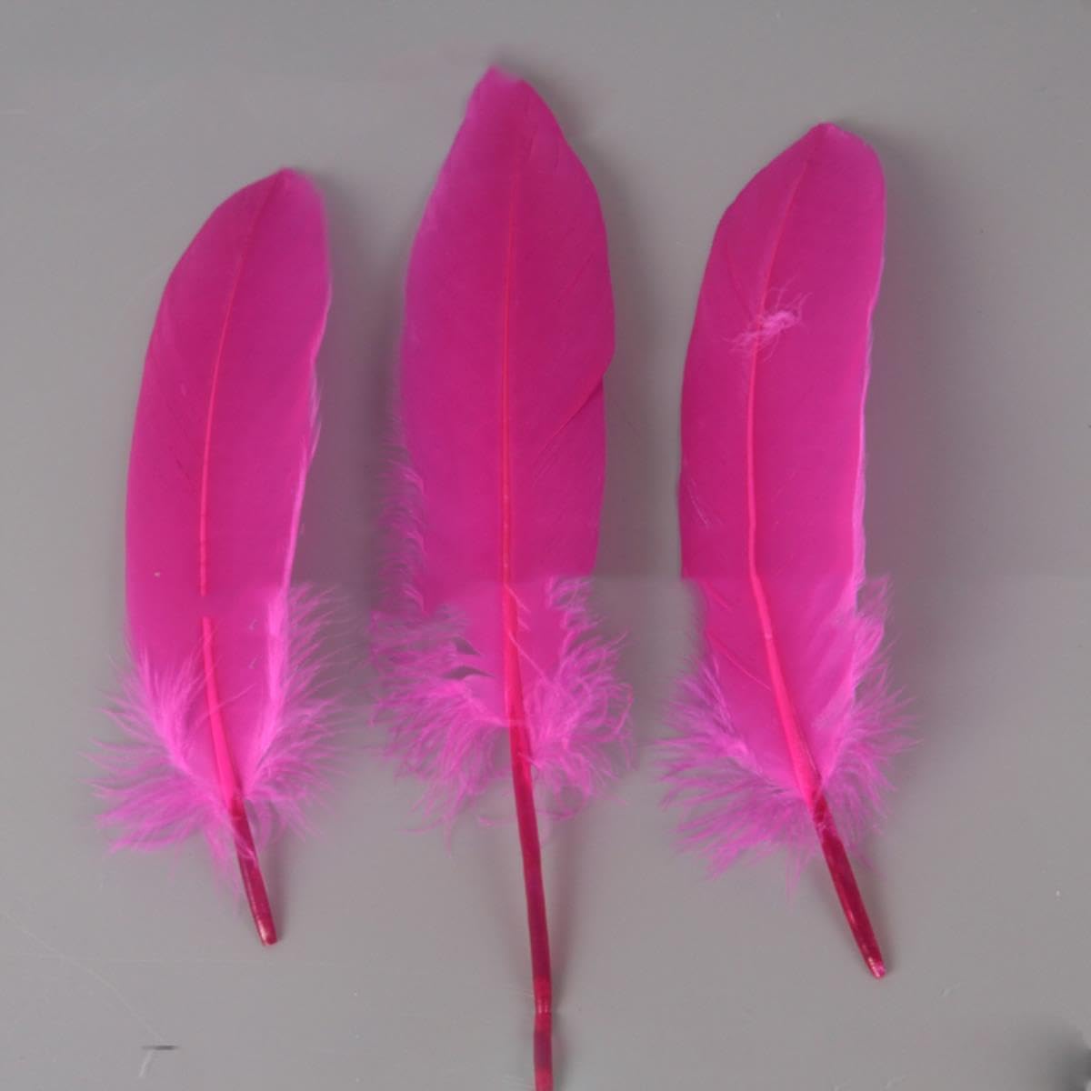 50 Stück Weiße Gänsefedern 15–20 Cm – Natürliche Federn Für DIY, Hochzeitsdeko, Basteln & Schmuck
