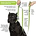 Wagtime Club Double Handle Dog Leash, 6ft Long Heavy Duty Dog Leash with Paded Traffic Handles for Extral Control and Training, Dual Handles Leads, Large Medium Small Dogs (Neon Green)