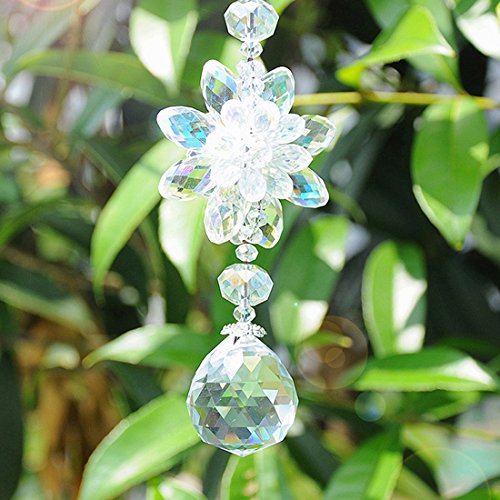 Amazon.co.jp: H&D HYALINE & DORA: サンキャッチャー