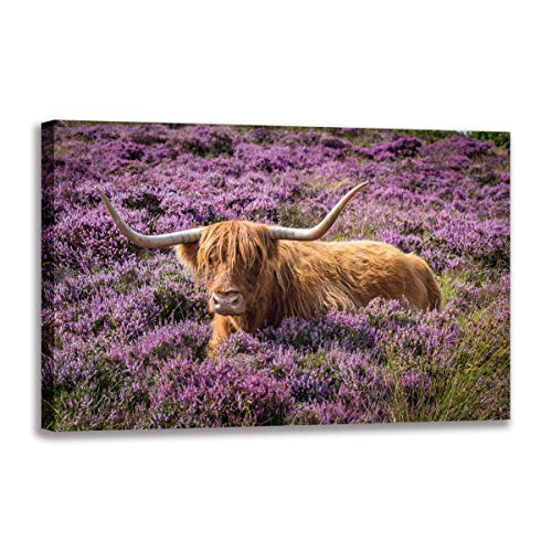 Highland Vache parmi les fleurs tableau decoration murale salon moderne