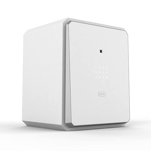 Family Fingerprint Password Safe Box with Key,Cabinets for Home Offcie,Security