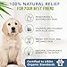 4-Legger Certified Organic Dog Shampoo - All Natural and Hypoallergenic with Aloe and Lemongrass, Soothing for Normal, Dry, Itchy or Allergy Sensitive Skin - Biodegradable - Made in USA - 16 oz