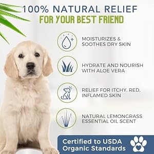 4-Legger Certified Organic Dog Shampoo - All Natural and Hypoallergenic with Aloe and Lemongrass, Soothing for Normal, Dry, Itchy or Allergy Sensitive Skin - Biodegradable - Made in USA - 16 oz 4-Legger Certified Organic Dog Shampoo – All Natural and Hypoallergenic with Aloe and Lemongrass, Soothing for Normal, Dry, Itchy or Allergy Sensitive Skin – Biodegradable – Made in USA – 16 oz