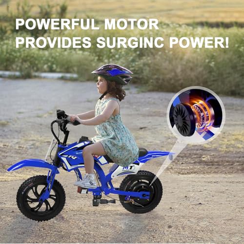 Image of Kids Electric Motorcycle, 25.2V 300W Brushless Motor & Controller, 3 Speeds (10MPH, 8 Miles), LCD, LED, Moto Sound, Twist Grip, Dual Suspension & Brakes, for 3-8 yrs, 110 LB (Blue)