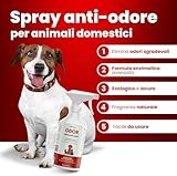 Zoom IMG-2 dermazoo spray detergente enzimatico urina Zoom IMG-2 dermazoo spray detergente enzimatico urina